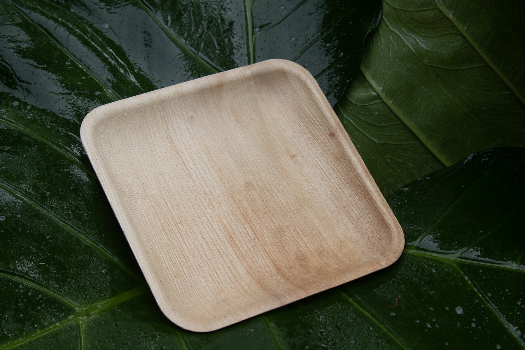 Square Plates