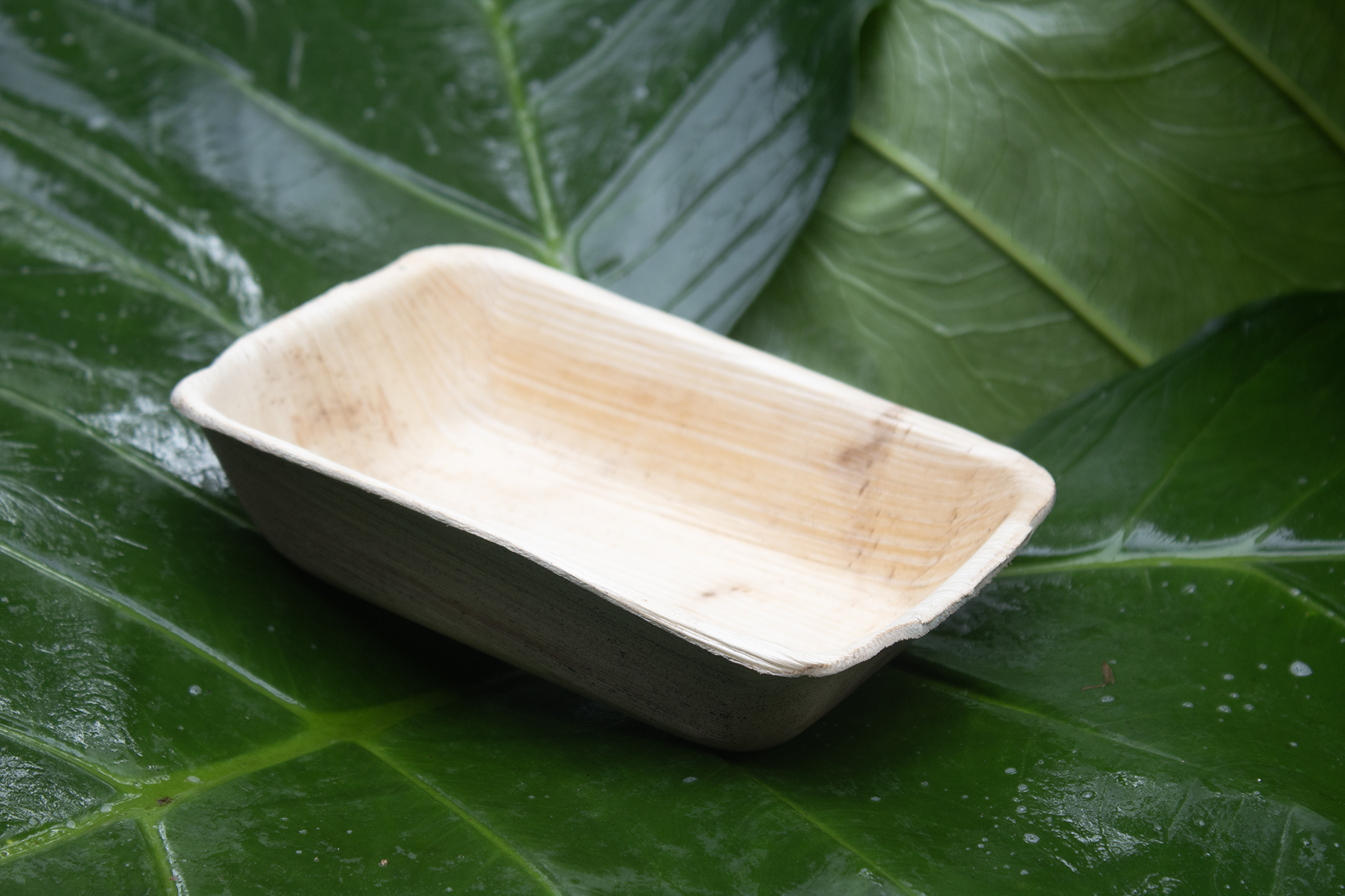 Rectangle Plates