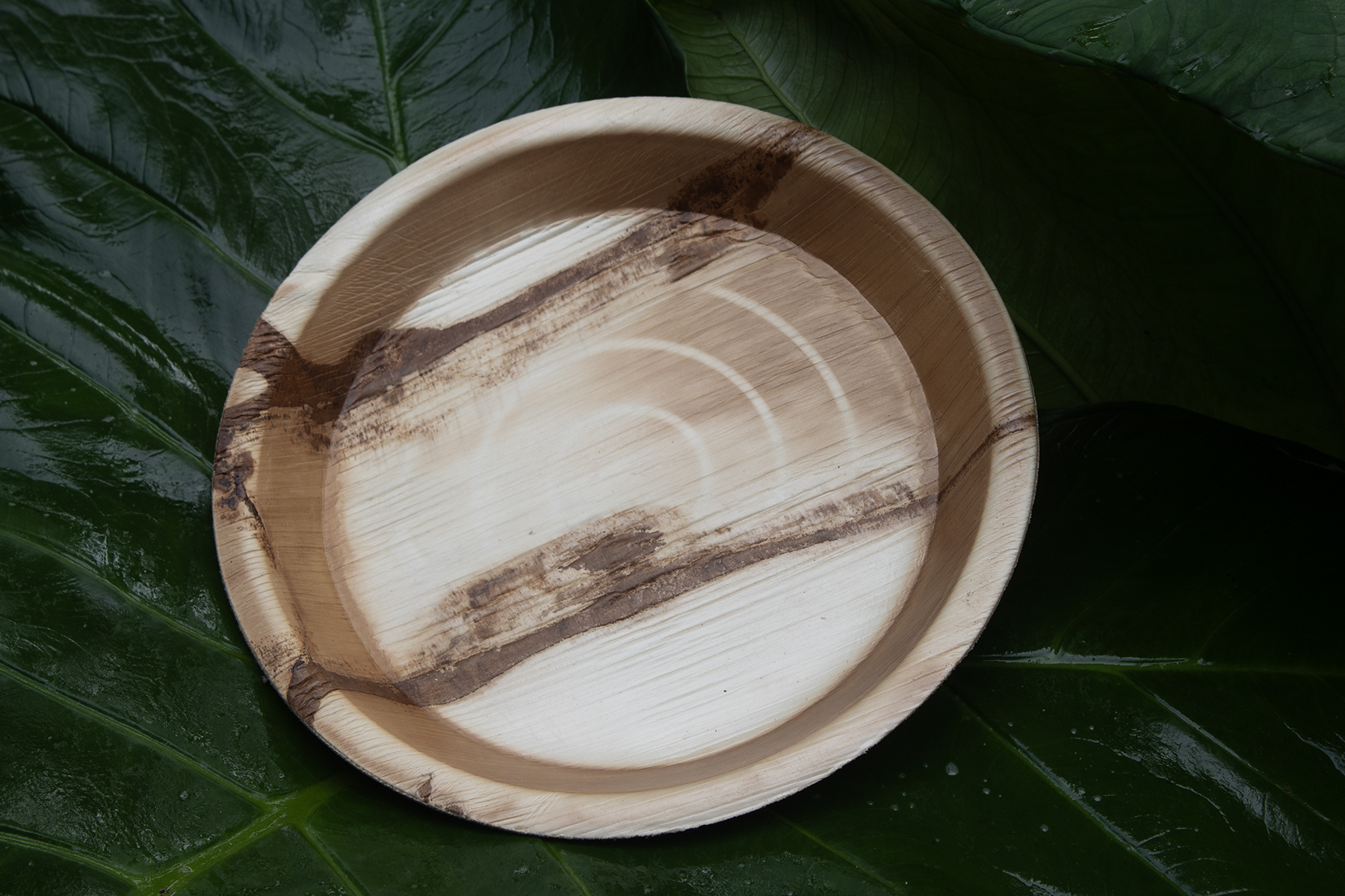 Round Plates
